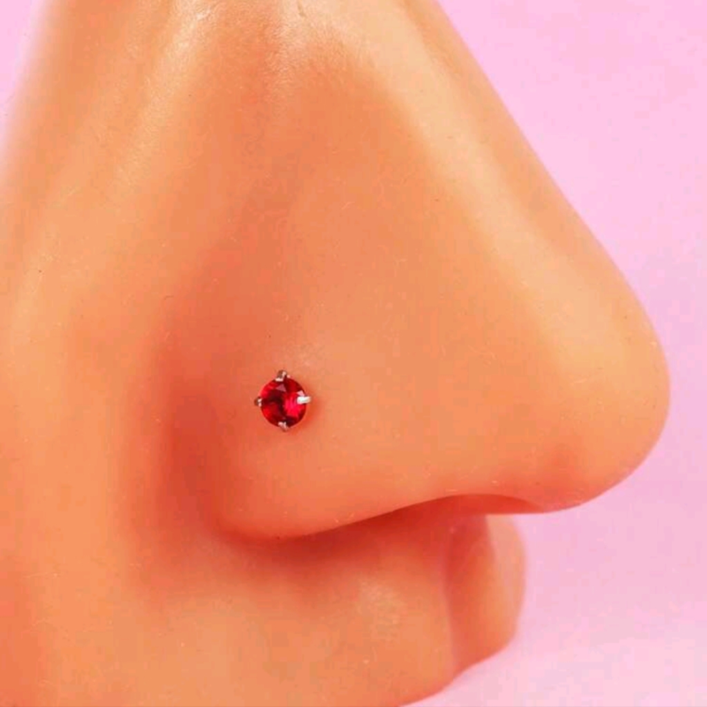 2 Nose Rings
